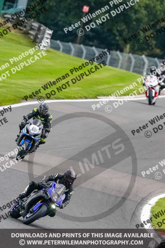 anglesey;brands hatch;cadwell park;croft;donington park;enduro digital images;event digital images;eventdigitalimages;mallory;no limits;oulton park;peter wileman photography;racing digital images;silverstone;snetterton;trackday digital images;trackday photos;vmcc banbury run;welsh 2 day enduro